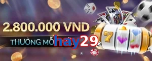 hay29