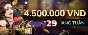 hay29