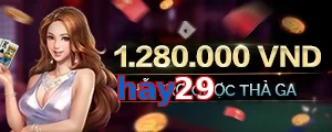 hay29