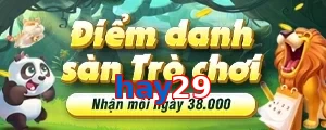 hay29