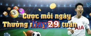 hay29